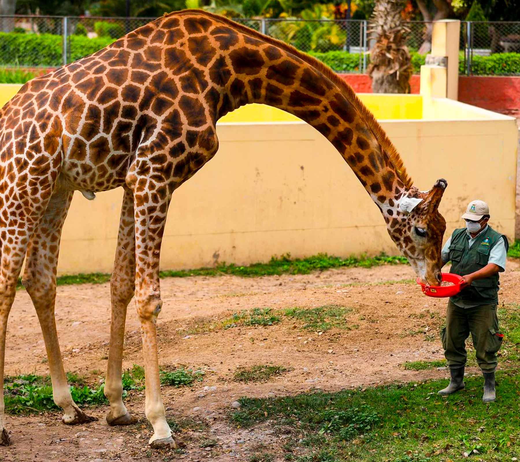 Park of Legends - Lima Zoo