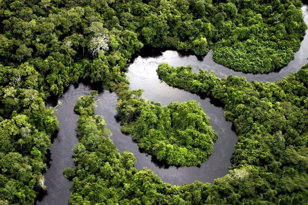 Peru amazon forest