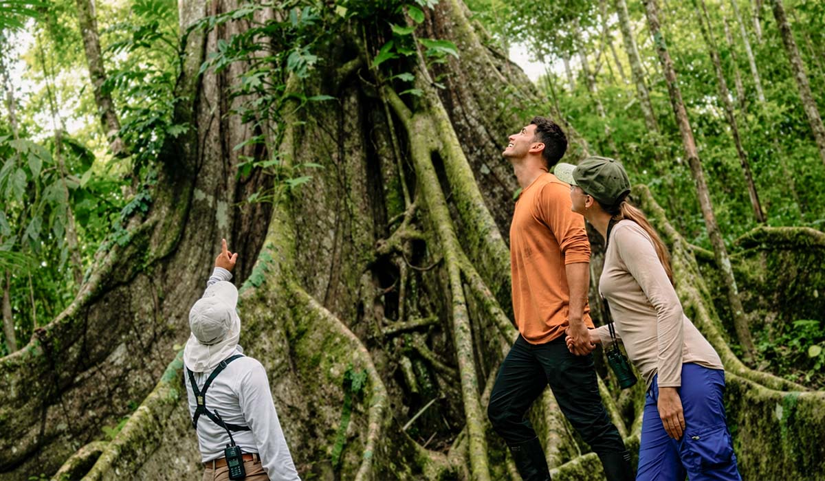 Peru Honeymoon Package