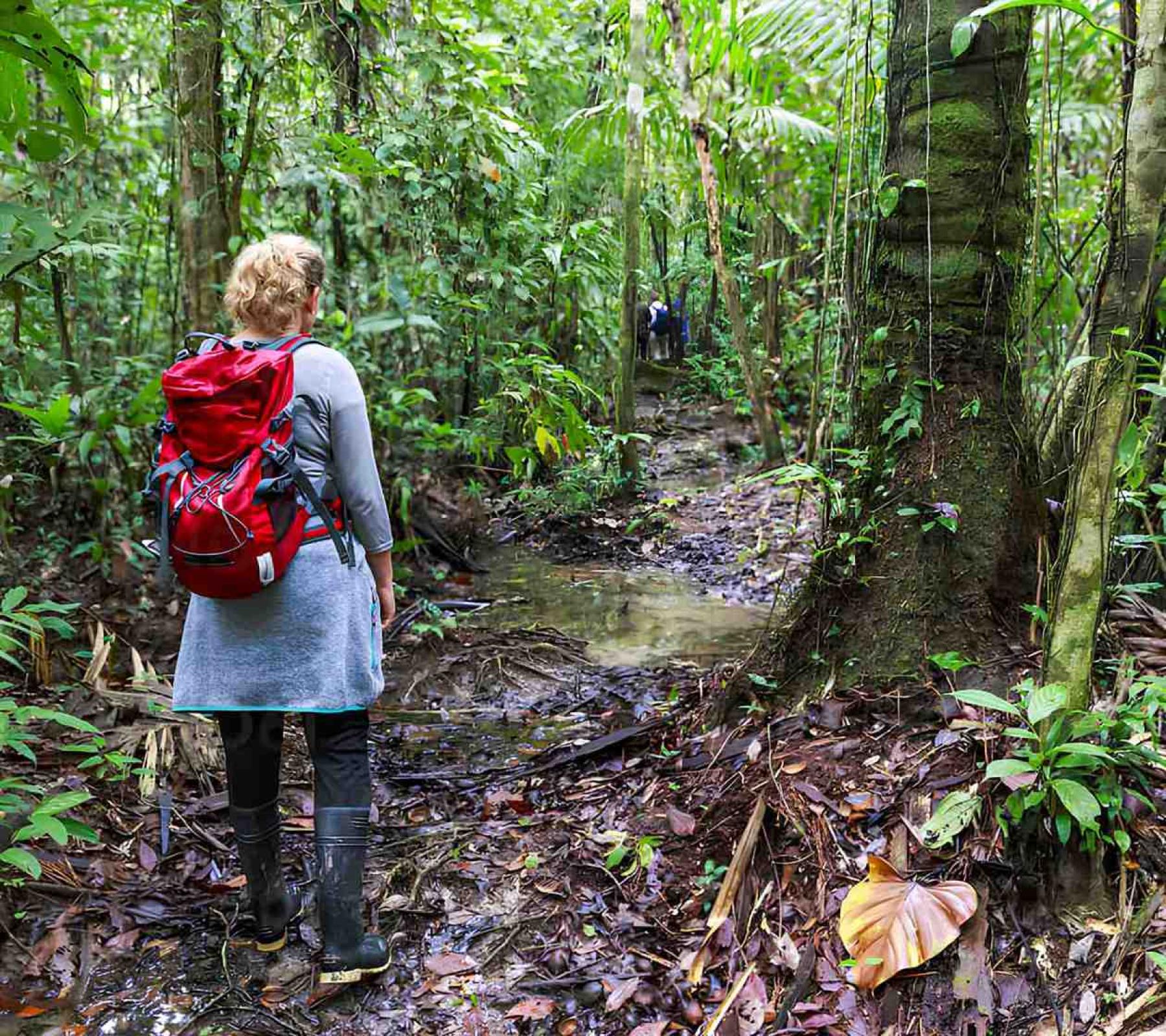 Peru Jungle Tour