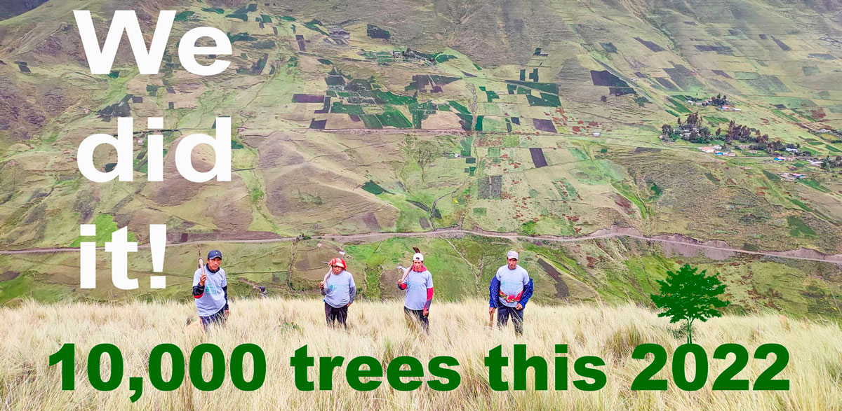 Peru Native Reforestation