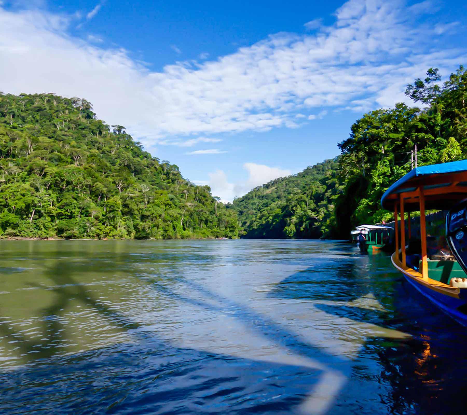 Peru Rainforest Tour