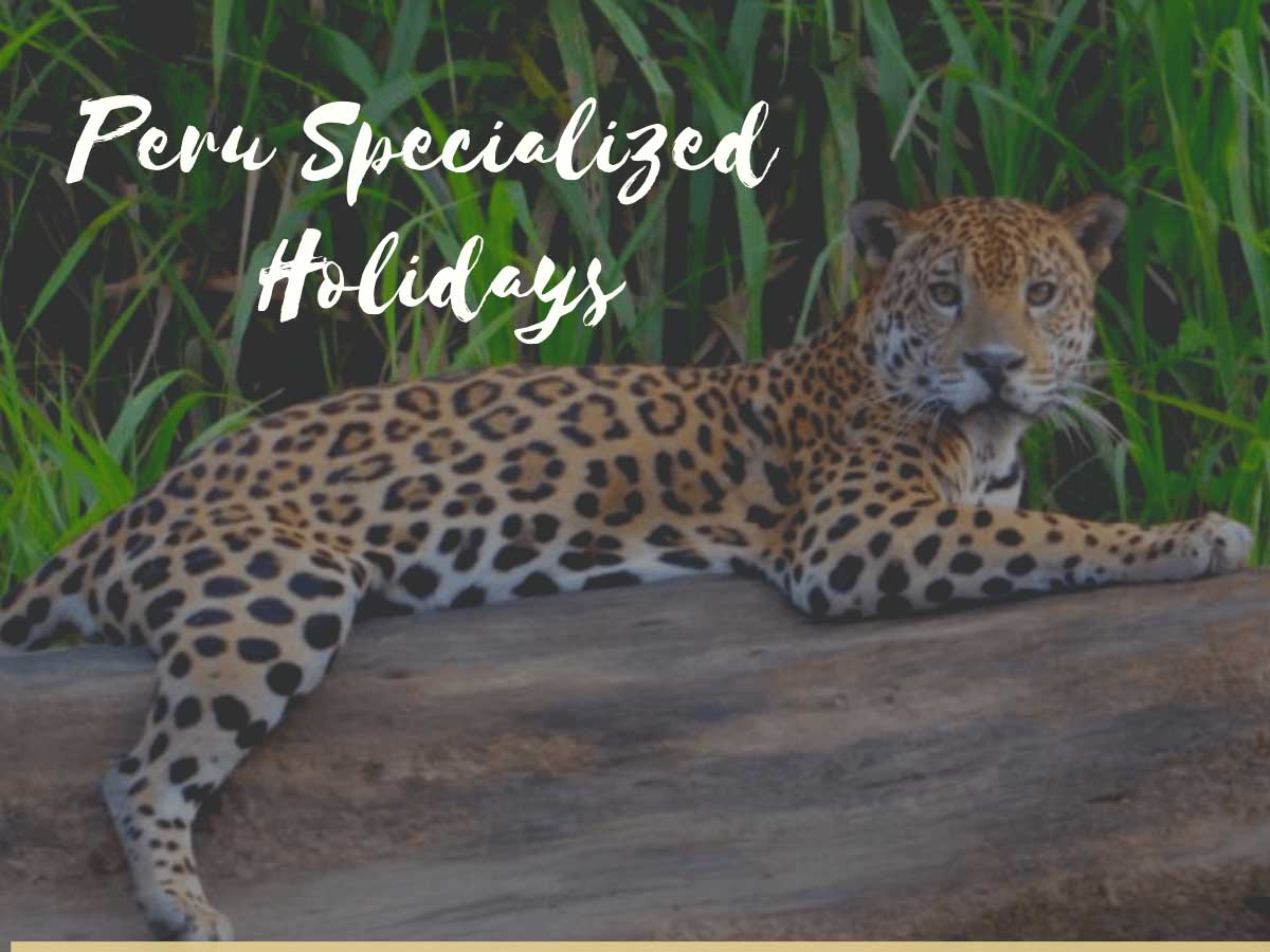 Peru Specialized Holidays