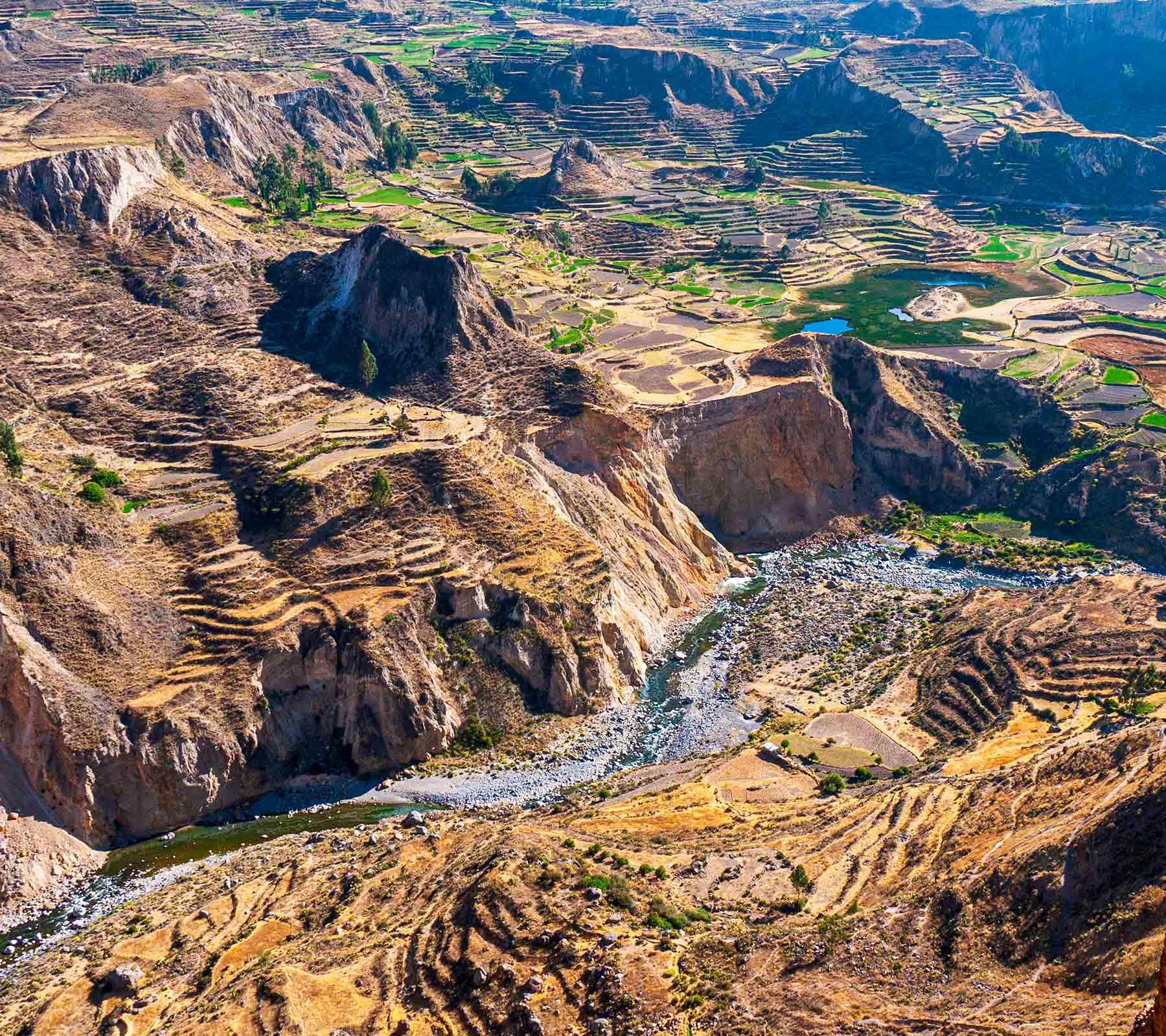 Peruvian highlandH