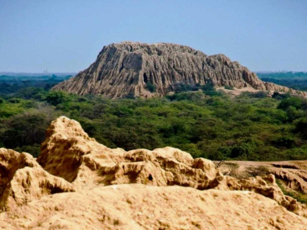 Pomac Forest Historical Sanctuary: know the beauty of this protected natural area