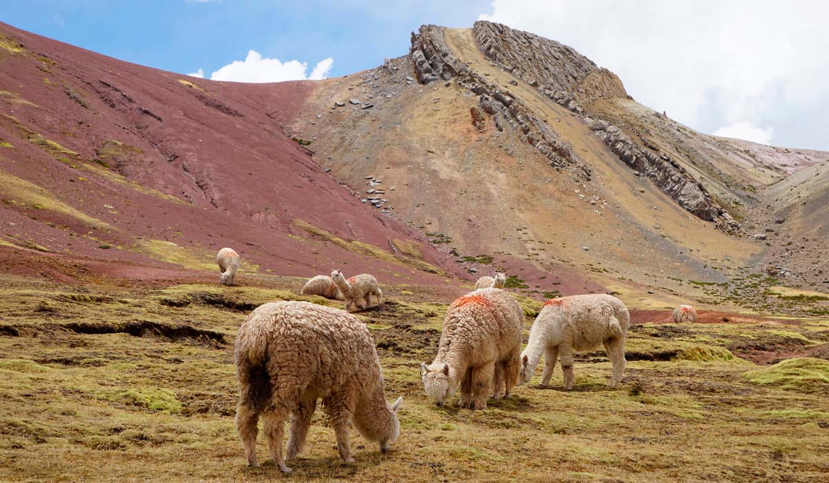 Rainbow Mountain trek