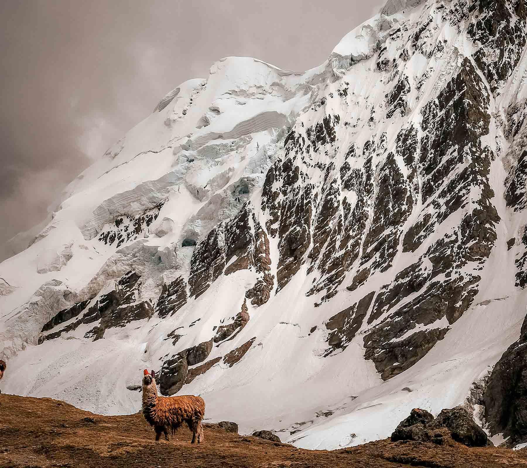 Salkantay trek vs inca trail