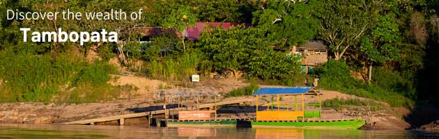 Tambopata Best Destinations in Perú