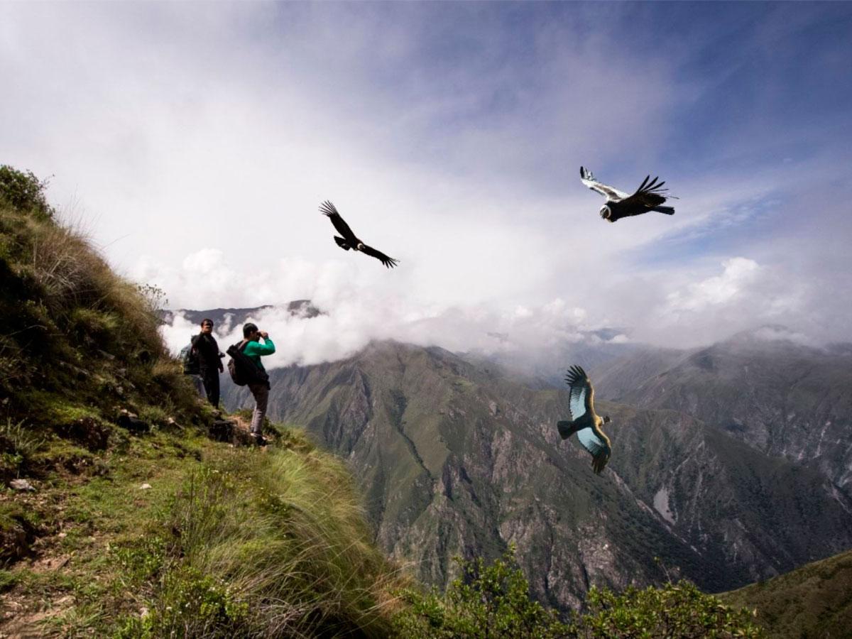 The condor viewpoint in Cusco