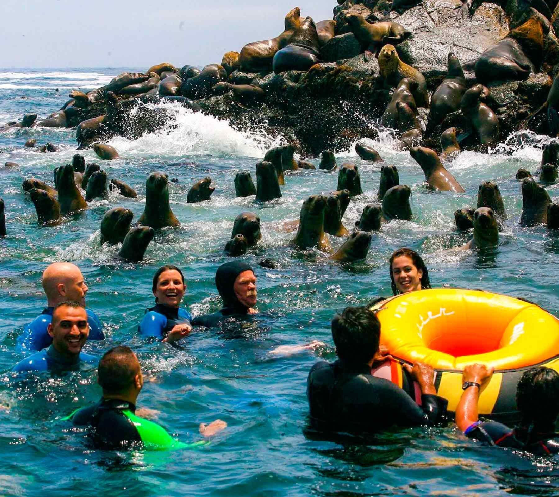 The Palomino Islands in Callao