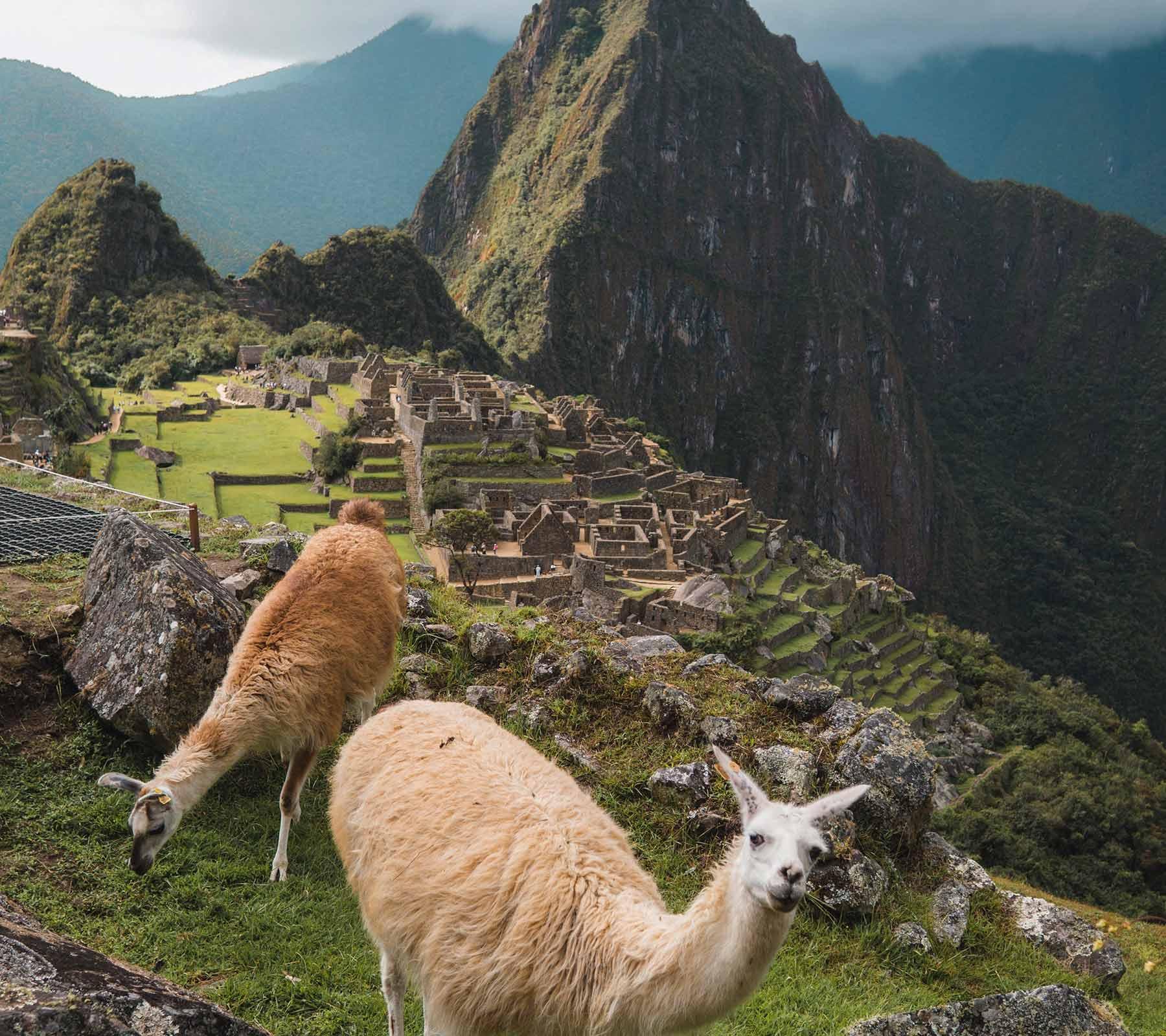 Trekking inca trail
