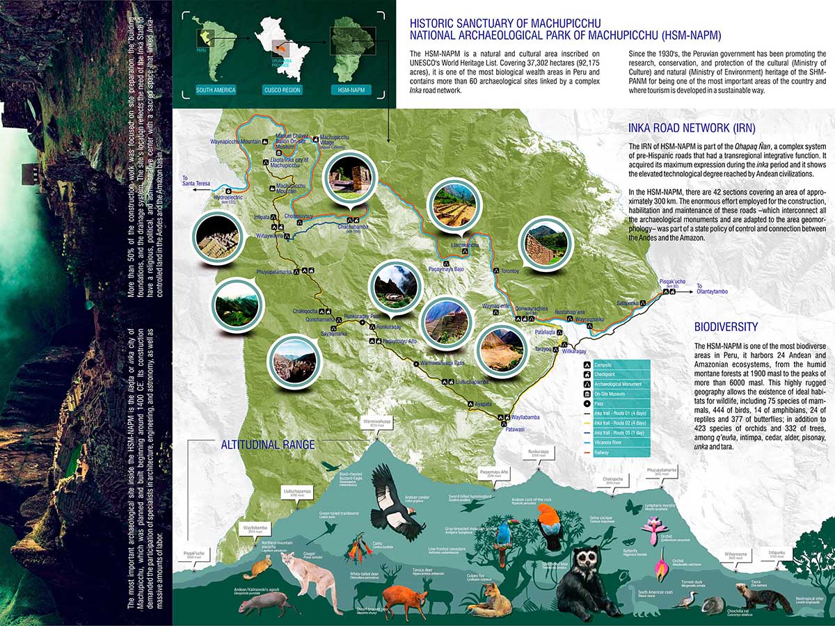 Inca Trail Animals