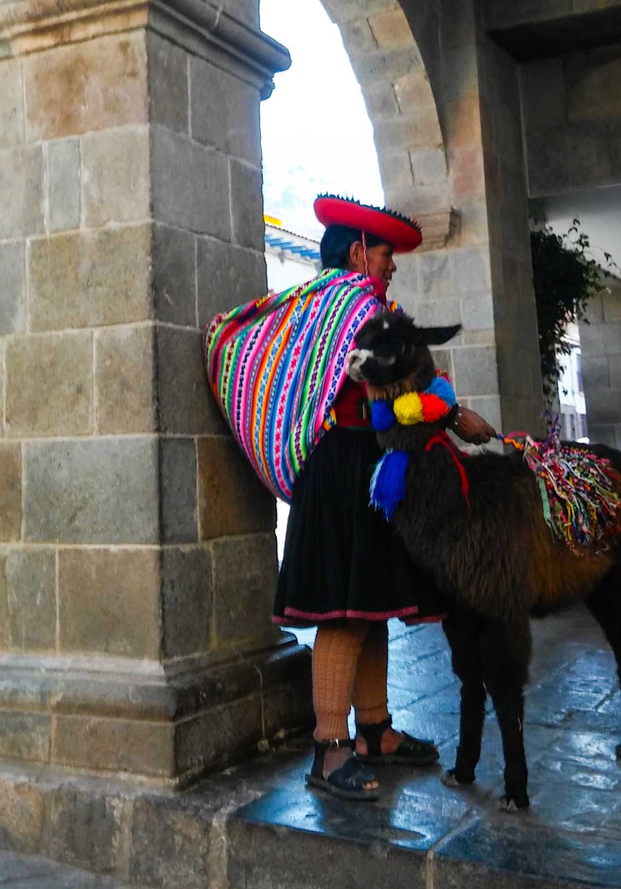 why are llamas important in peru