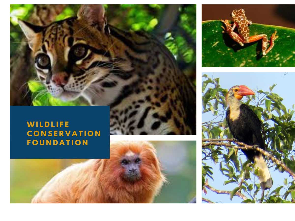Wildlife Conservation Foundation